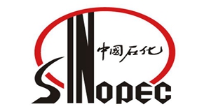 南京中石化logo